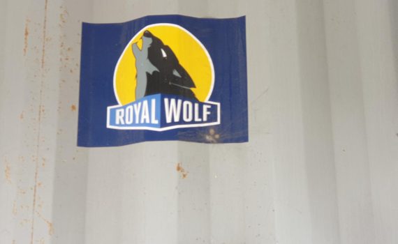 Great omen on the metal dividing fence at Auckland Airport. For the uninitiated, the Royal Wolf is a world famous dry fly for fly-fishing tragic, like your humble writer.